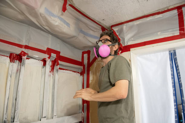 Professional Mold Removal in Wauconda, IL