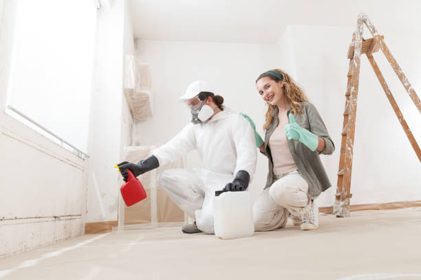 Best Forensic Mold Investigation  in Wauconda, IL